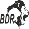 BDR Pharmaceuticals Intl. Pvt. Ltd.